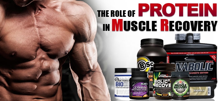 the-role-of-protein-in-muscle-recovery-sporty-s-health