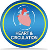 Image showing "Heart and Circulation"
