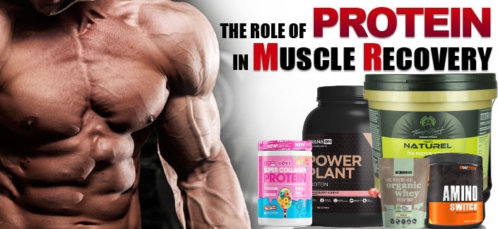 The Role of Protein in Muscle Recovery.