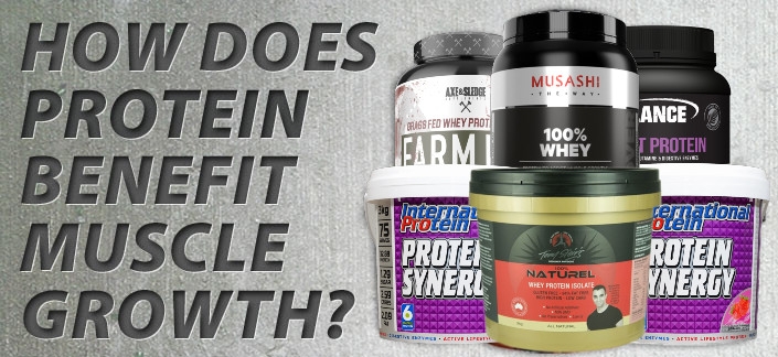 How Does Protein Benefit Muscle Growth?