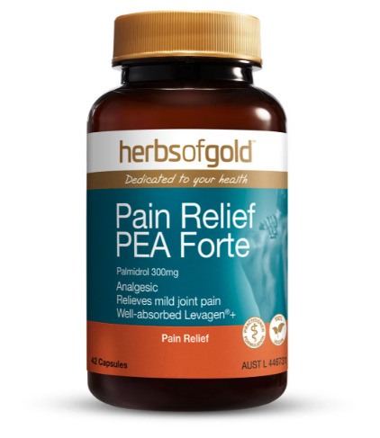 Herbs of Gold Pain Relief PEA Palmidrol