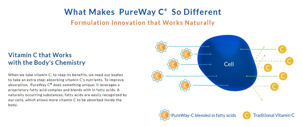 vitamin C infographic